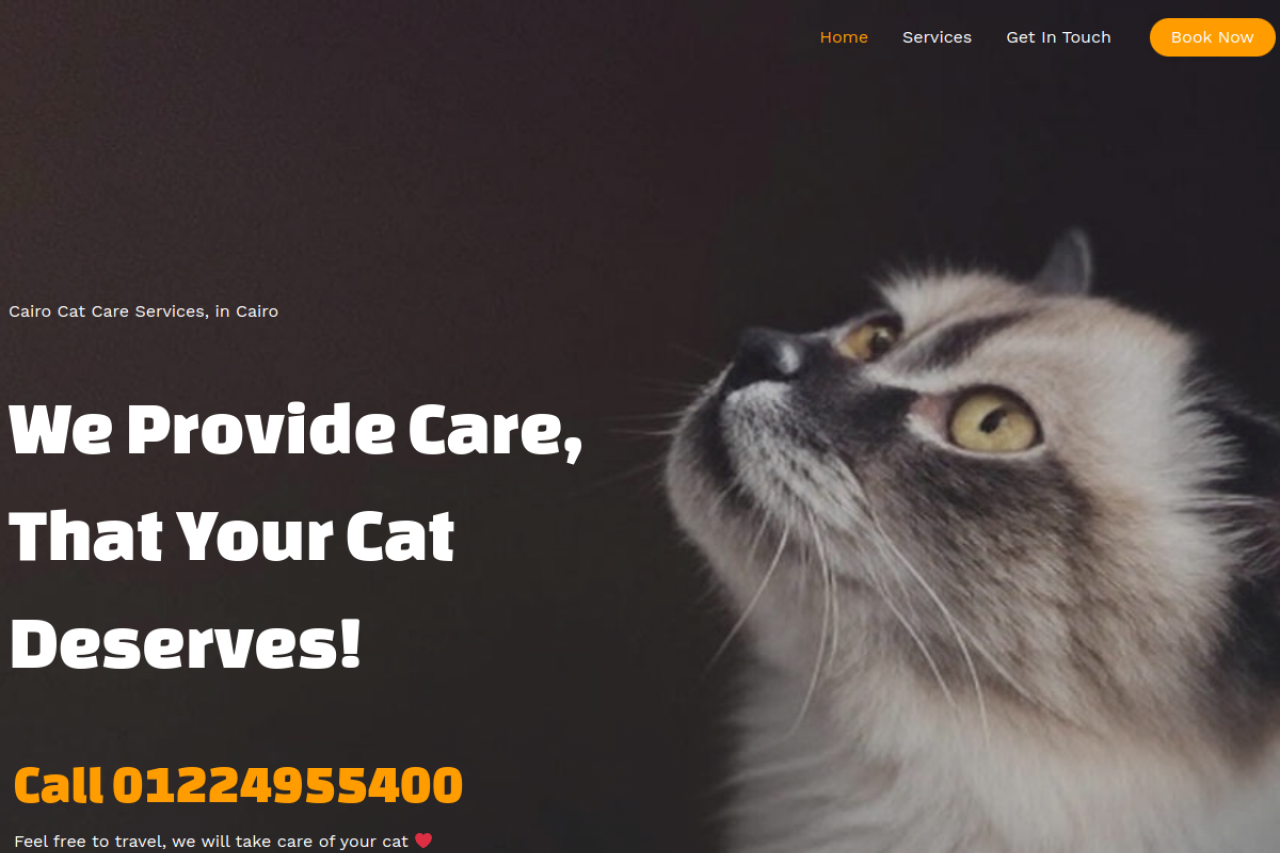Cairo Cat website screenshot